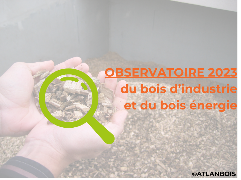 Observatoire bois d’industrie – bois énergie
